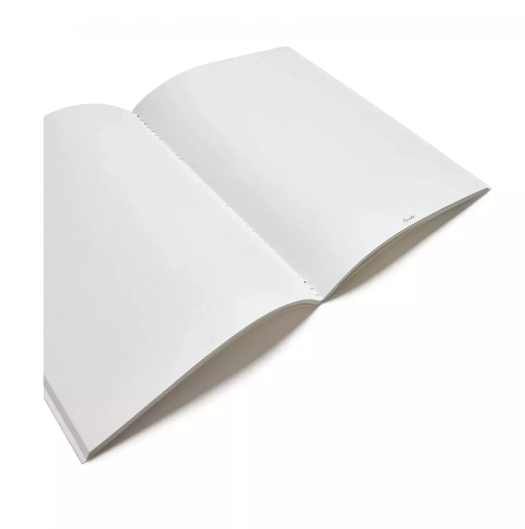 Pineider Notebook EcoJazz senza righe Acquista Ora
